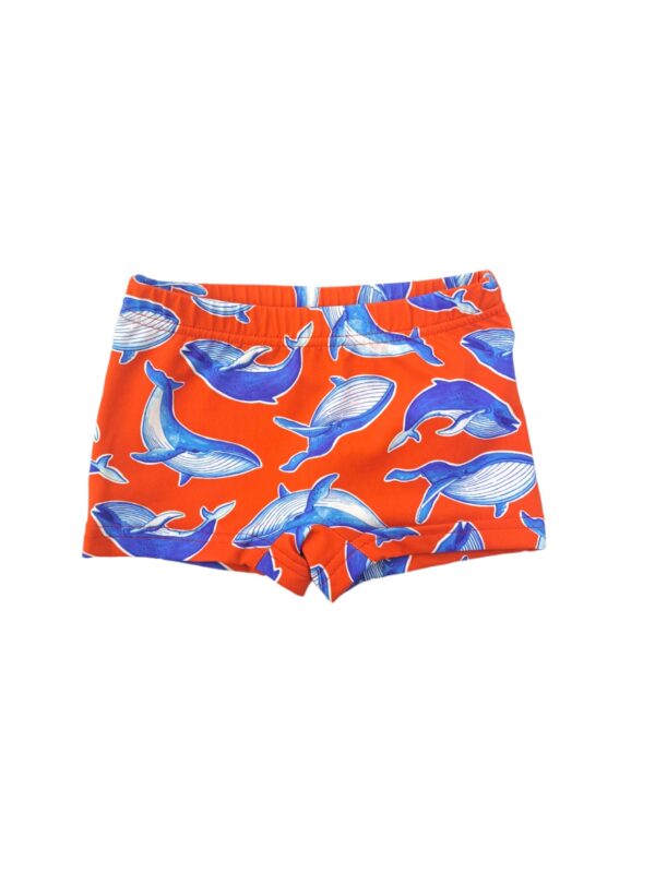 Costume Boxer Sardon